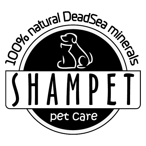 WhatsApp Image 2024-08-29 at 3.05.40 PM